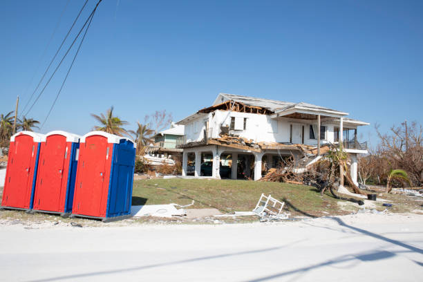 Best Storm Damage Tree Cleanup  in USA